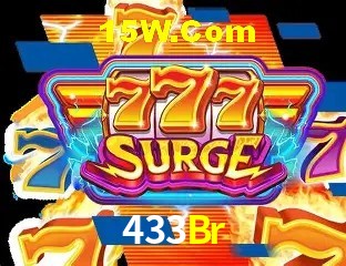 Secure Login 433Br